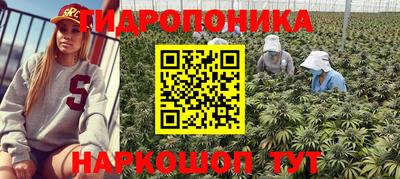 spice Гулькевичи