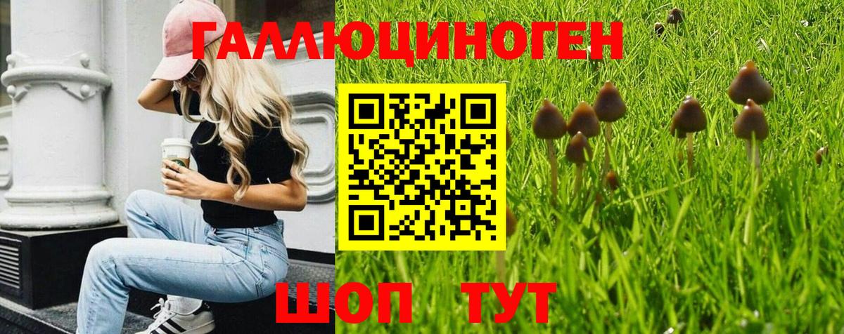 Псилоцибиновые грибы GOLDEN TEACHER  Вход с VPN  Большой Камень 