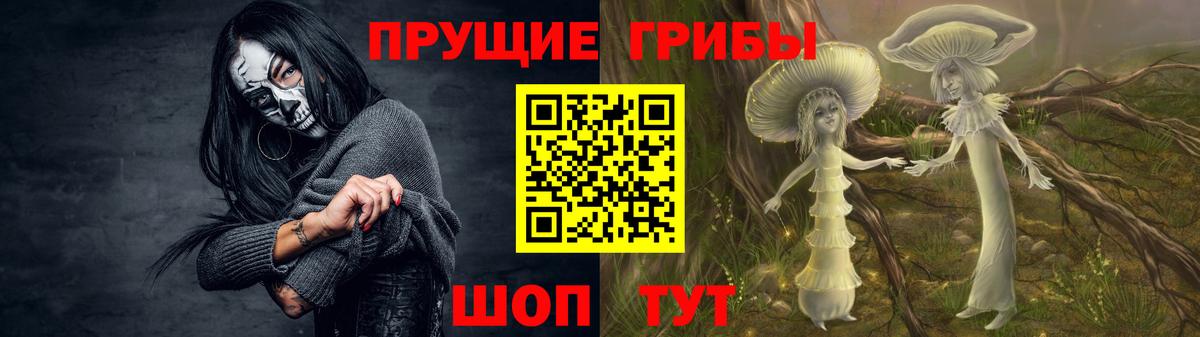 Галлюциногенные грибы Psilocybine cubensis Большой Камень